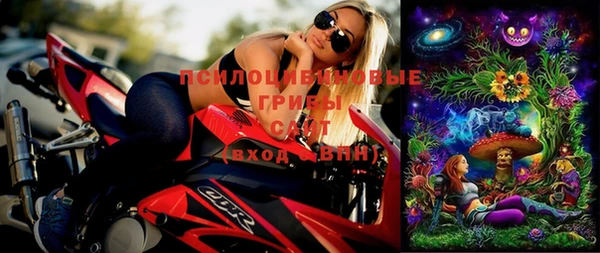PSILOCYBIN Медногорск